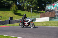 Vintage-motorcycle-club;eventdigitalimages;mallory-park;mallory-park-trackday-photographs;no-limits-trackdays;peter-wileman-photography;trackday-digital-images;trackday-photos;vmcc-festival-1000-bikes-photographs